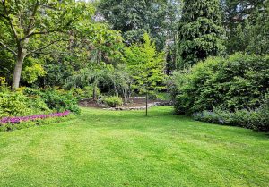 Optimiser l'expérience du jardin à Doudeville